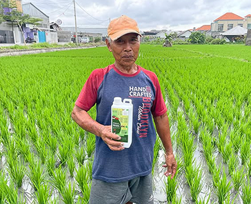Petani Tangguh Ditengah kota denpasar
